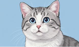 Cat illustration