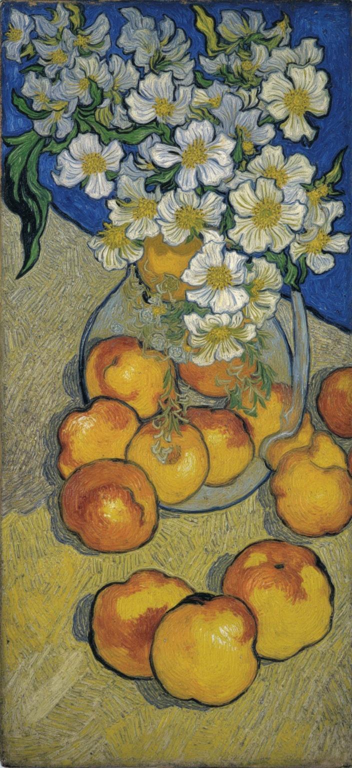 van_gogh, Enriched prompt: The painting captures a still life composition featuring ripe peaches and apricots, artfully arranged on a rustic wooden table. Surrounding this vibrant centerpiece are delicate white flowers, their soft petals adding a gentle contrast to the scene. The piece is crafted with intense color, dynamic brushwork, and bold, expressive compositions, drawing inspiration from a painterly style. Vivid, rich colors are applied in thick, impasto layers, creating a sense of movement and emotional depth. The use of bold complementary color contrasts, such as blue and orange or yellow and purple, heightens the visual impact and intensity of the artwork. Brushstrokes are loose, energetic, and often swirling, with curly, flame-like patterns that impart a rhythmic, almost pulsating quality to the scene. This dynamic touch, combined with vigorous, linear patterns, results in a unique sense of motion and life within the painting. Emulating a style infused with raw emotion and a sense of urgency, the artwork becomes both deeply personal and universally compelling. Centered meticulously, the composition ensures a crisp, clean look ideal for digital wallpaper, transforming any space into a gallery of artistic flair.
